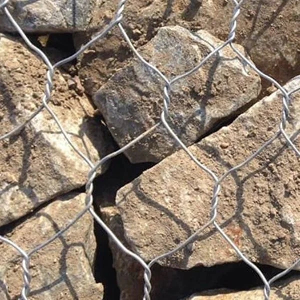 5mm galvanised wire mesh