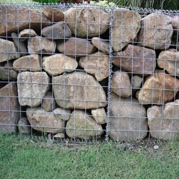 large folding wire dog crate