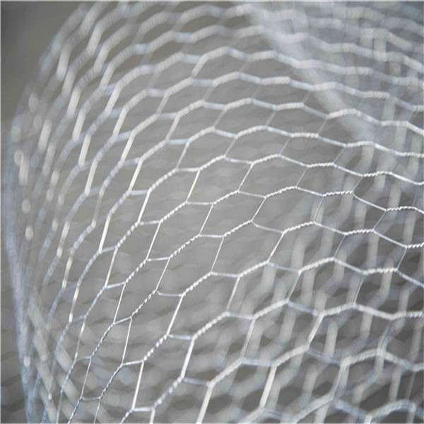Custom Made Galvanized Hexagonal Wire Netting Chicken Wire Mesh