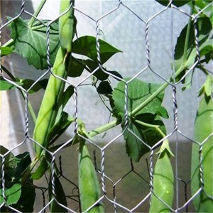 pvc coated wire in china