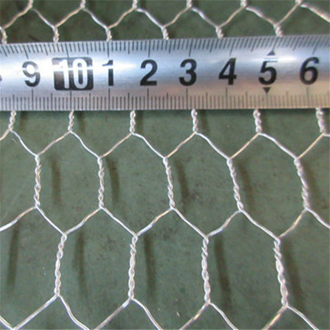 galvanized pvc coated wire mesh