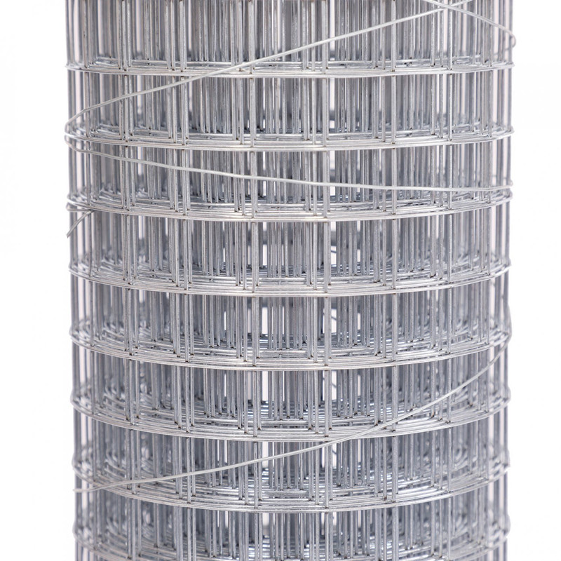 Galvanized Welded Wire Mesh Fence Netting Rolls