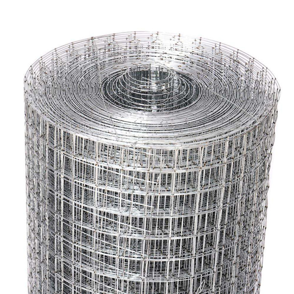 Galvanized Welded Wire Mesh Fence Netting Rolls