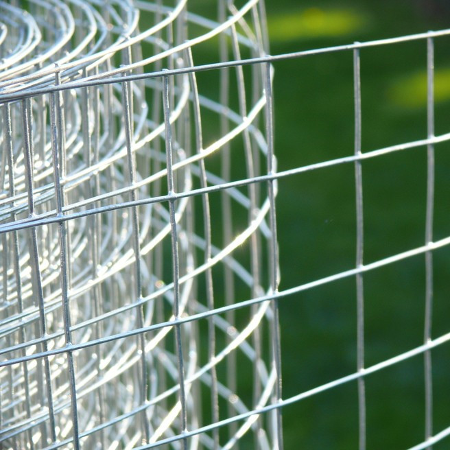 Galvanized Welded Wire Mesh Fence Netting Rolls