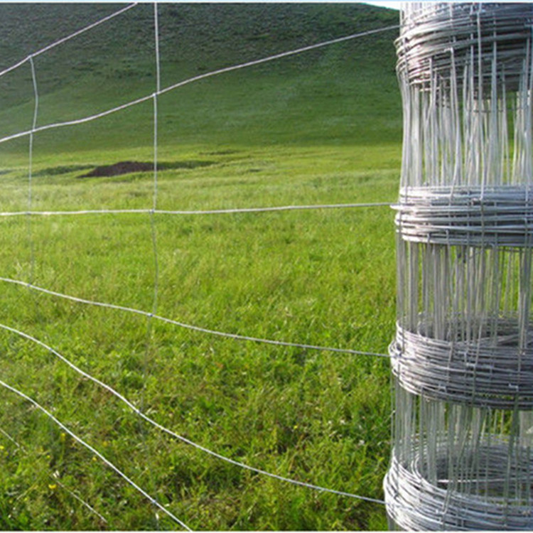 coated wire mesh sheets
